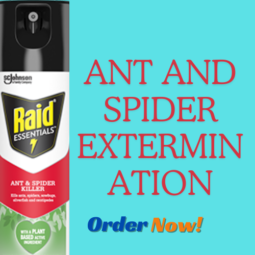 Ant and Spider Extermination