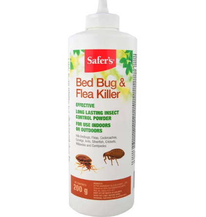 Bed Bug Extermination